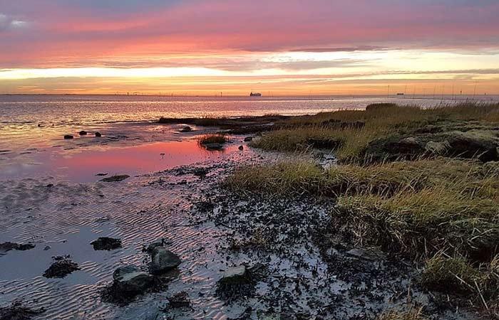 Nationalpark Niedersächsisches Wattenmeer Jubiläum